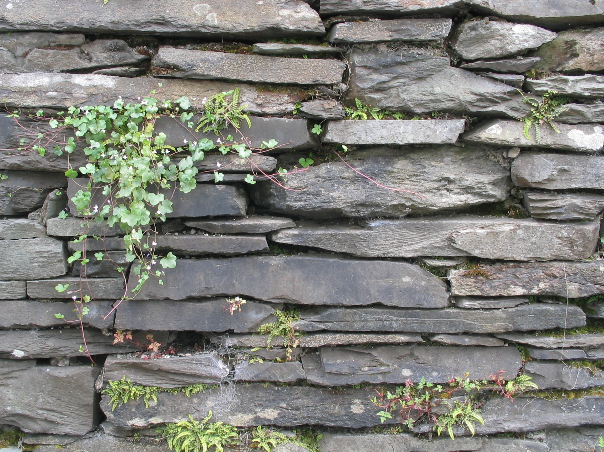 Slate Wall, Ambleside