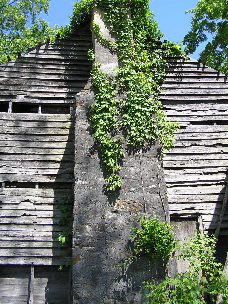Chimney & Ivy