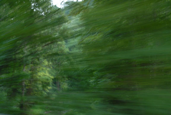 drivin.JPG