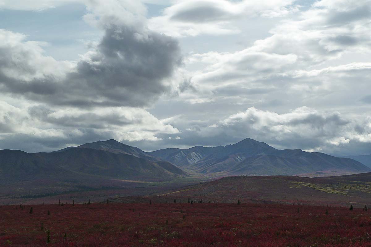 Parc Denali /  Denali Park