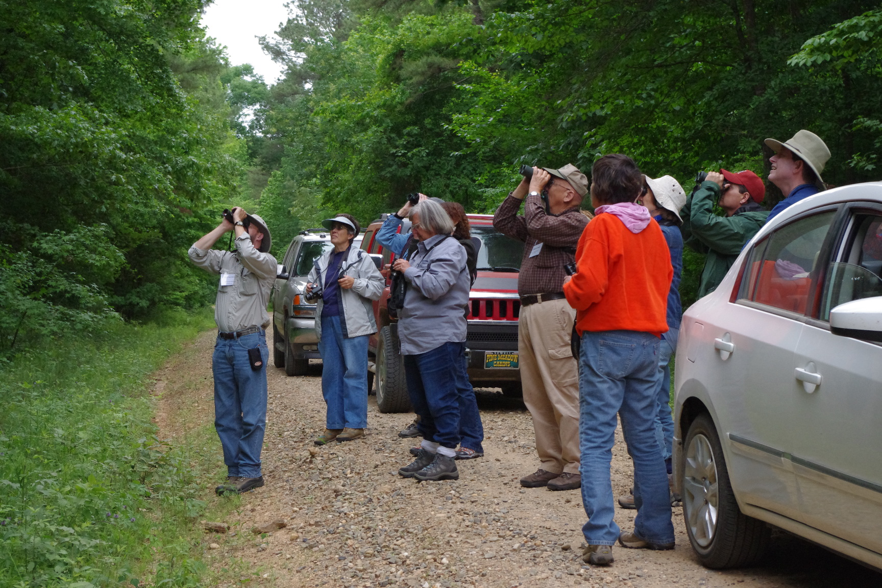 Birding Tour Group