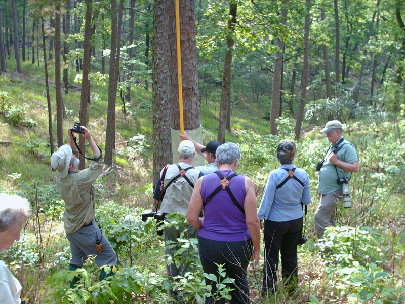 Birding Convention Tour