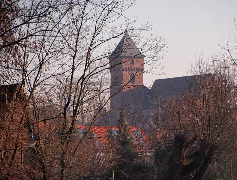 View from the Pond