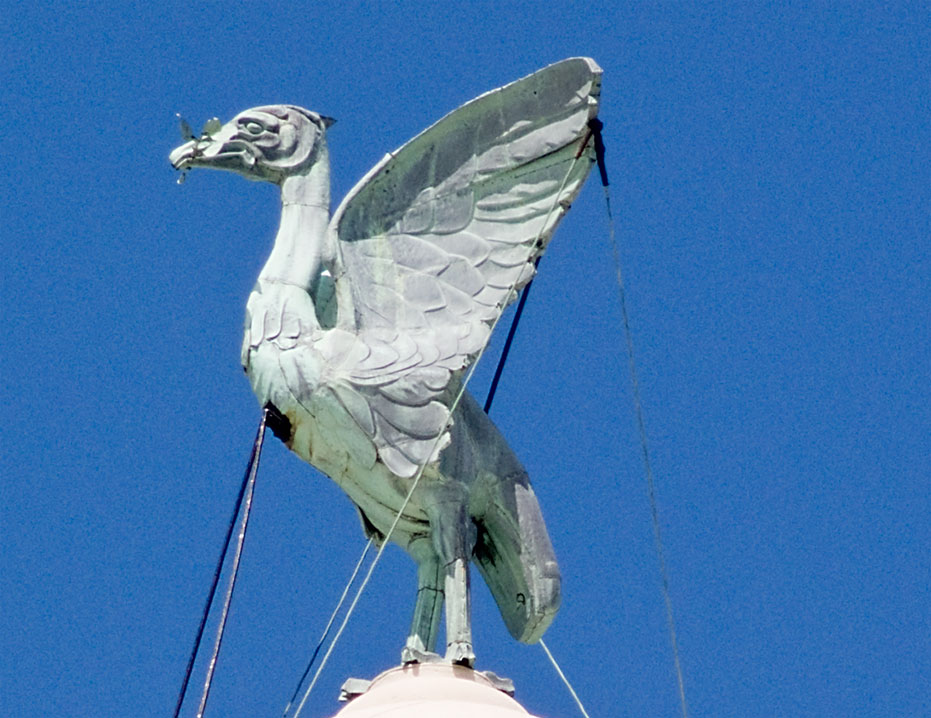 Liver bird