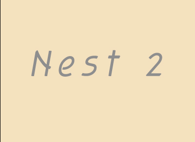 nest 2 starts here