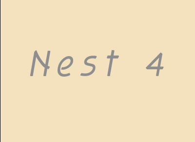 nest 4 starts here