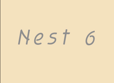 nest 6 starts here