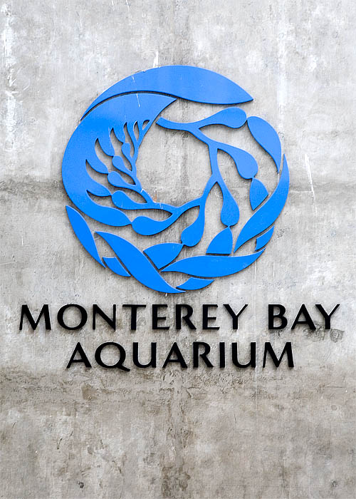 The Aquarium