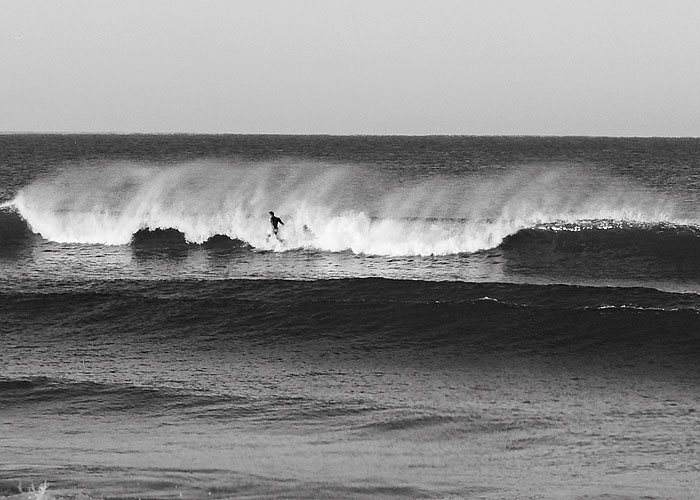 Morning Surfer  #3