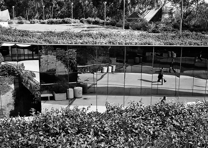 Reflections at the UCSD Library