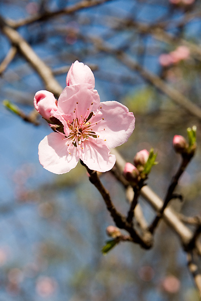 WDC_IMG_5868