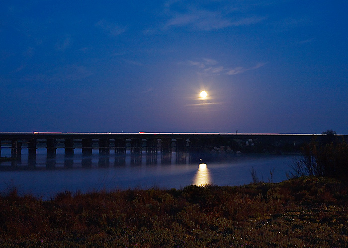 Moon Set Over Los Peasquitos Marsh