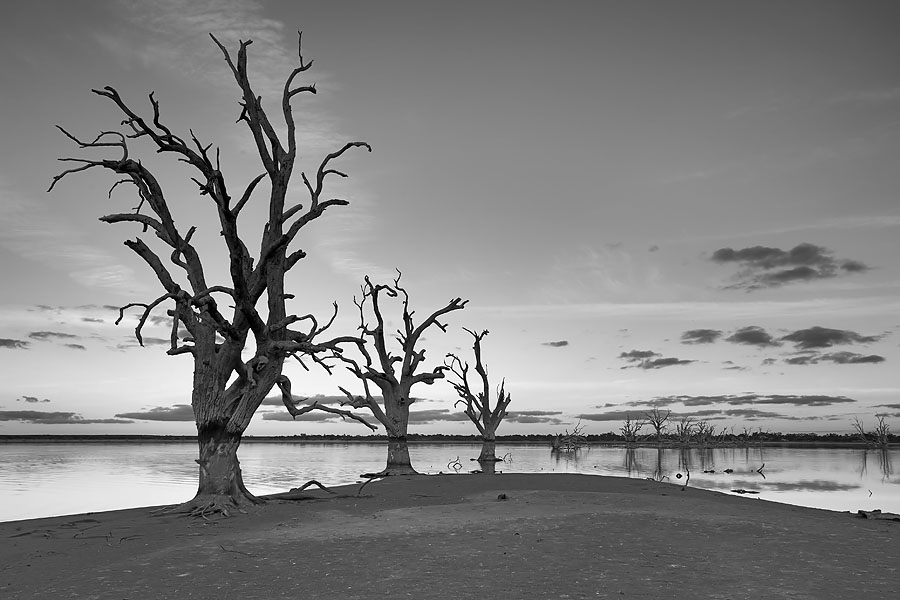 Lake Bonney_5_bw_web.jpg