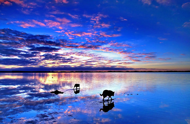 6b Lake George Sunrise.jpg