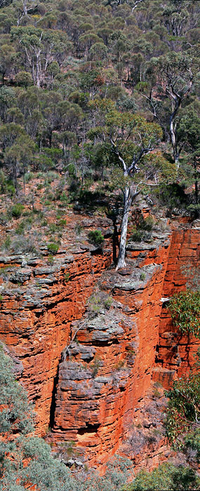 Alligator Gorge Flinders Ranges South Australia_2.jpg