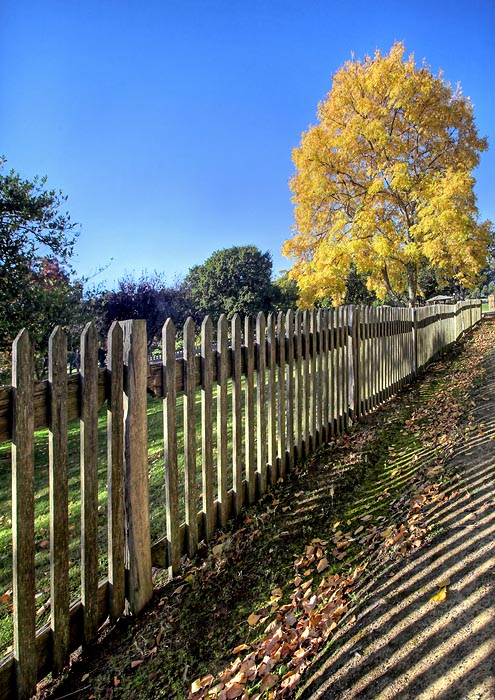 Autumn Pickett Fence.jpg