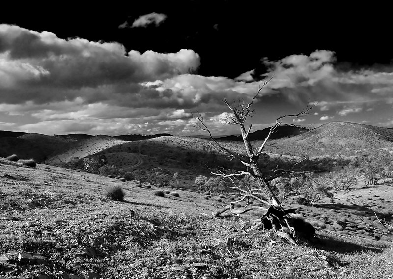Sky Trek Willow Springs.jpg