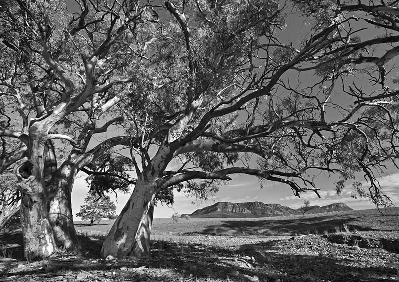 Wilpena Pound