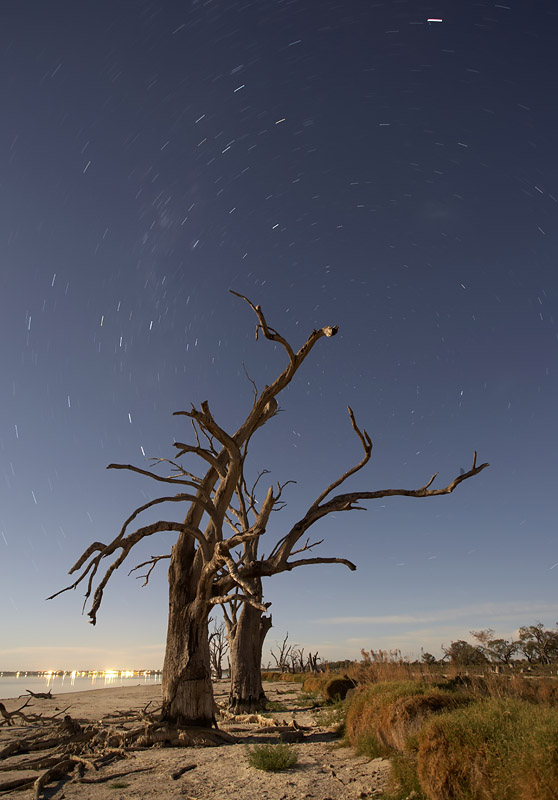 Lake Bonney Star Trail