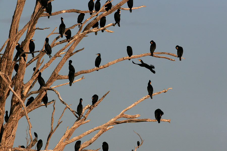 Loch Luna Reserve