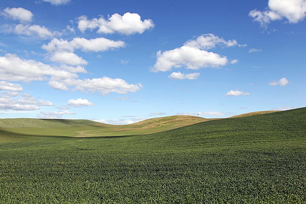 001_Palouse.JPG