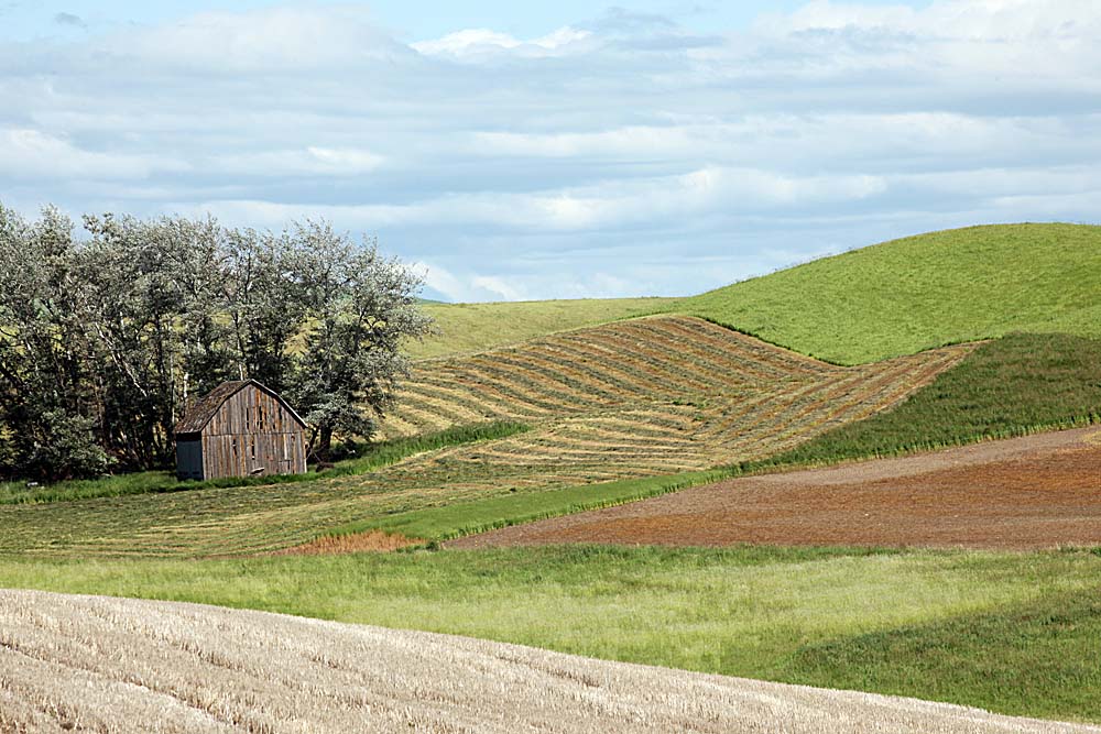 002_Palouse.JPG