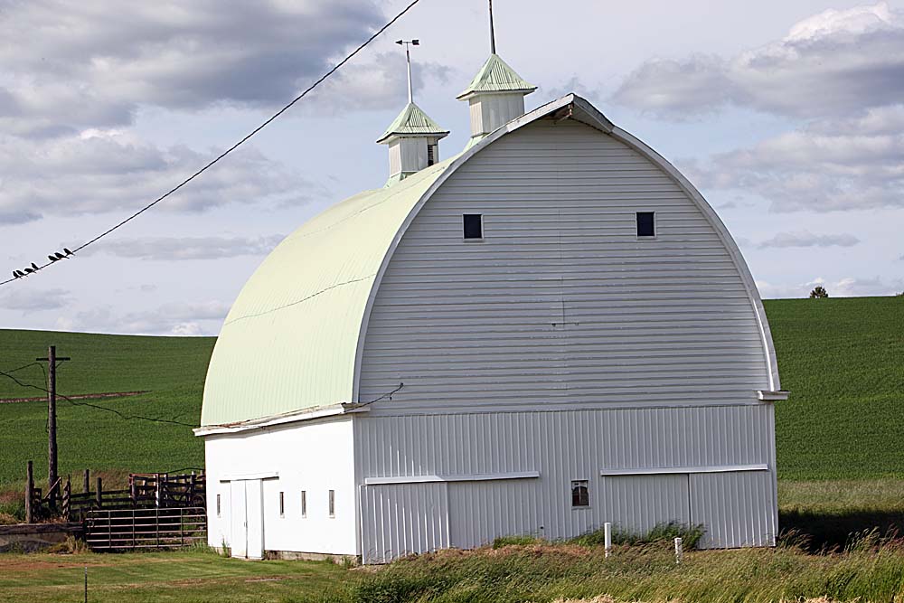 011_Palouse.JPG