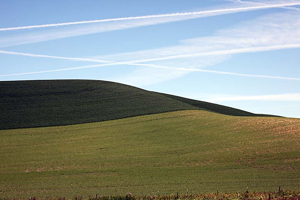 032_Palouse.JPG