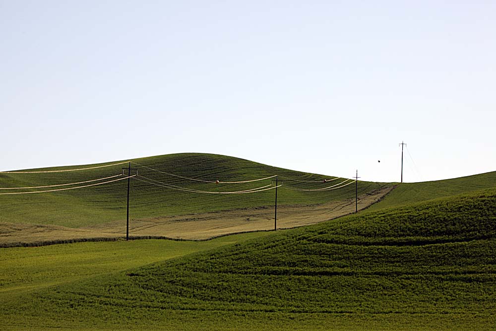068_Palouse.JPG