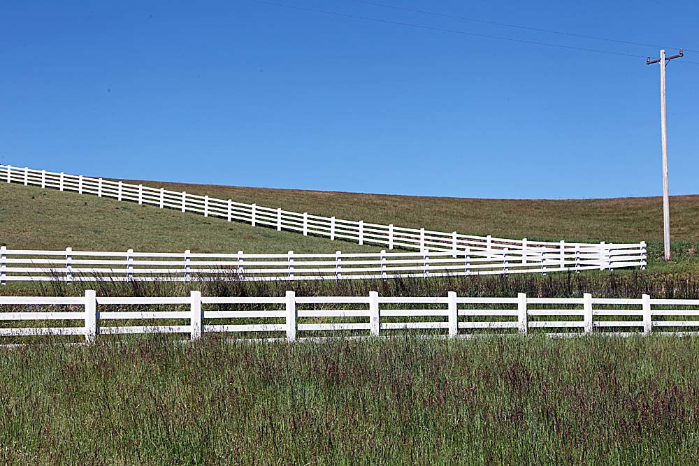 075_Palouse.JPG