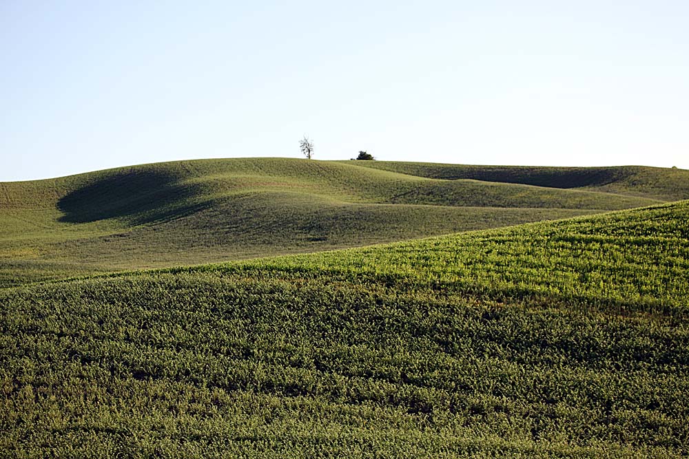 111_Palouse.JPG