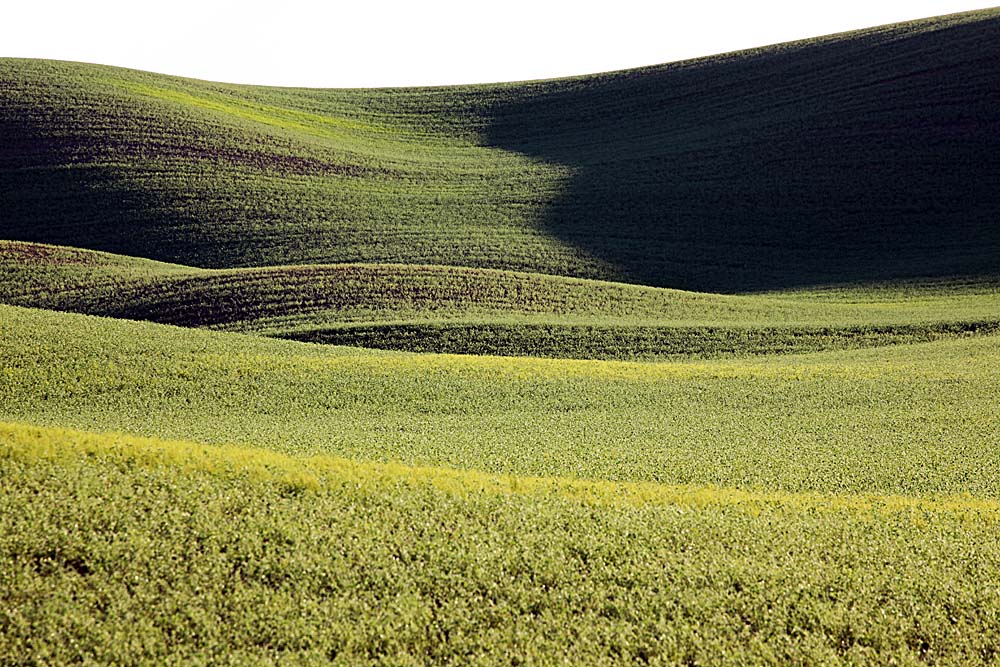 112_Palouse.JPG