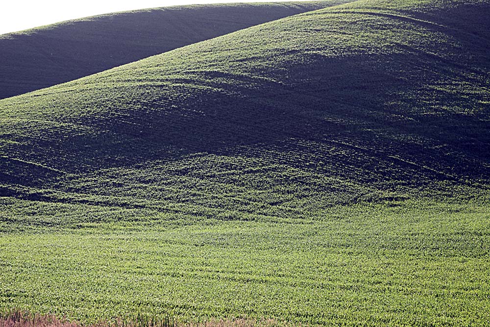 113_Palouse.JPG