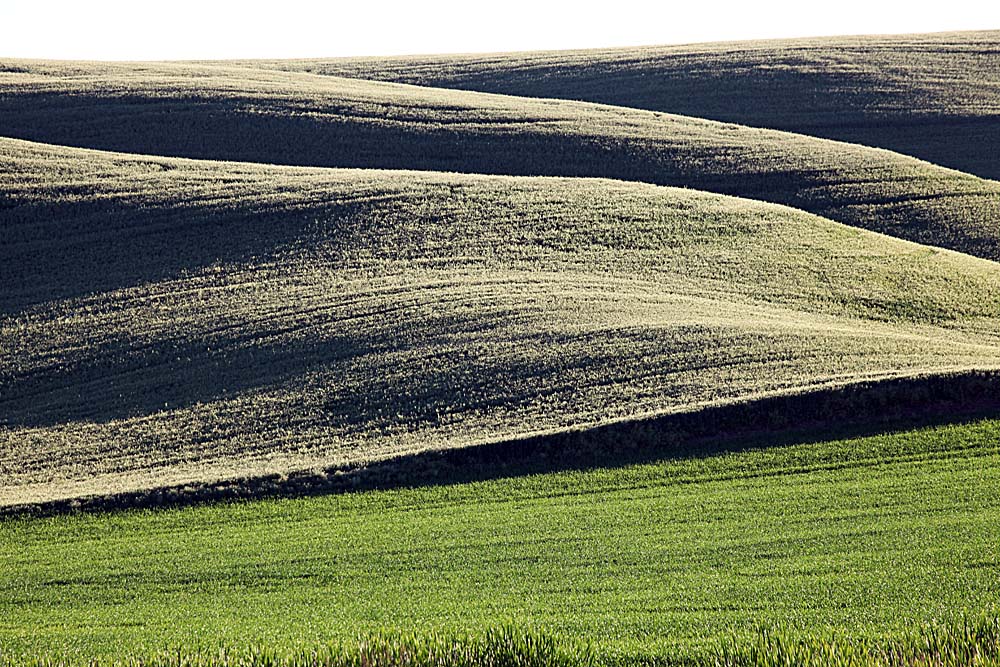114_Palouse.JPG