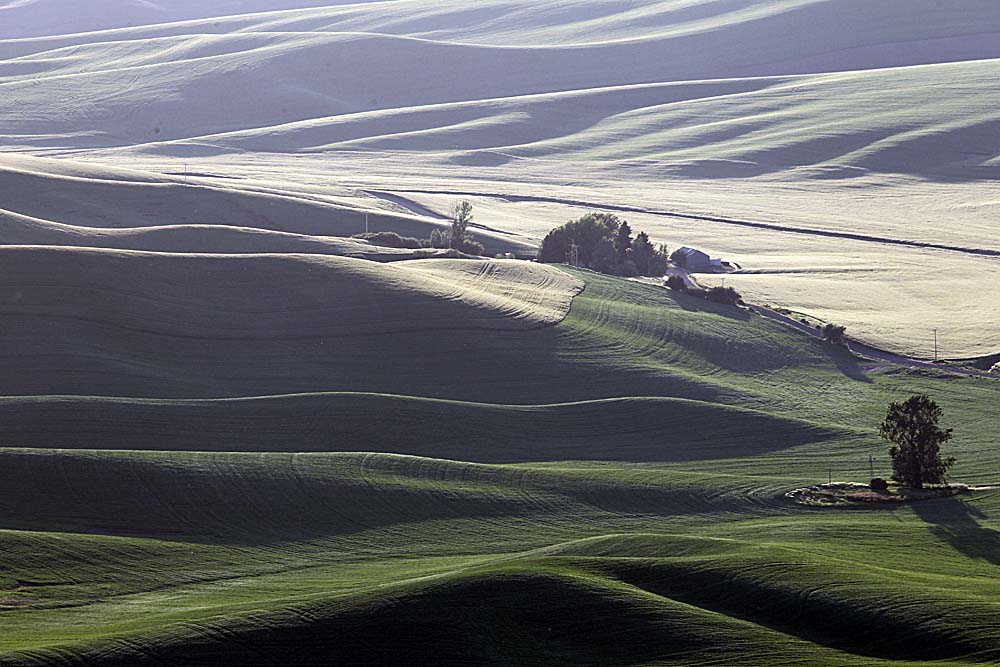 163_Palouse.JPG