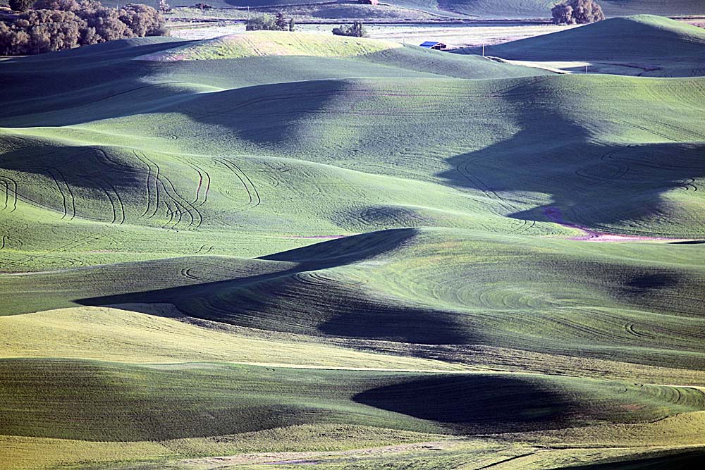 166_Palouse.JPG