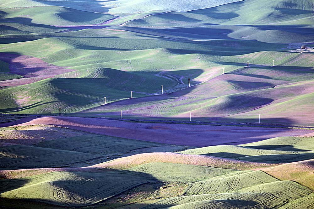 173_Palouse.JPG