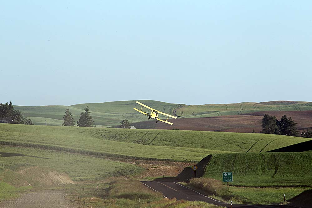 195_Palouse.JPG
