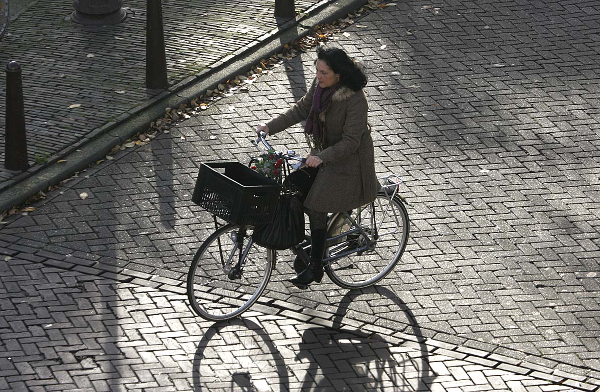 Bicycle with optional add-on shadow