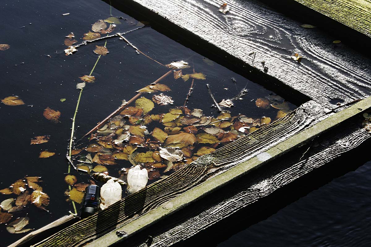 Floating on the canal