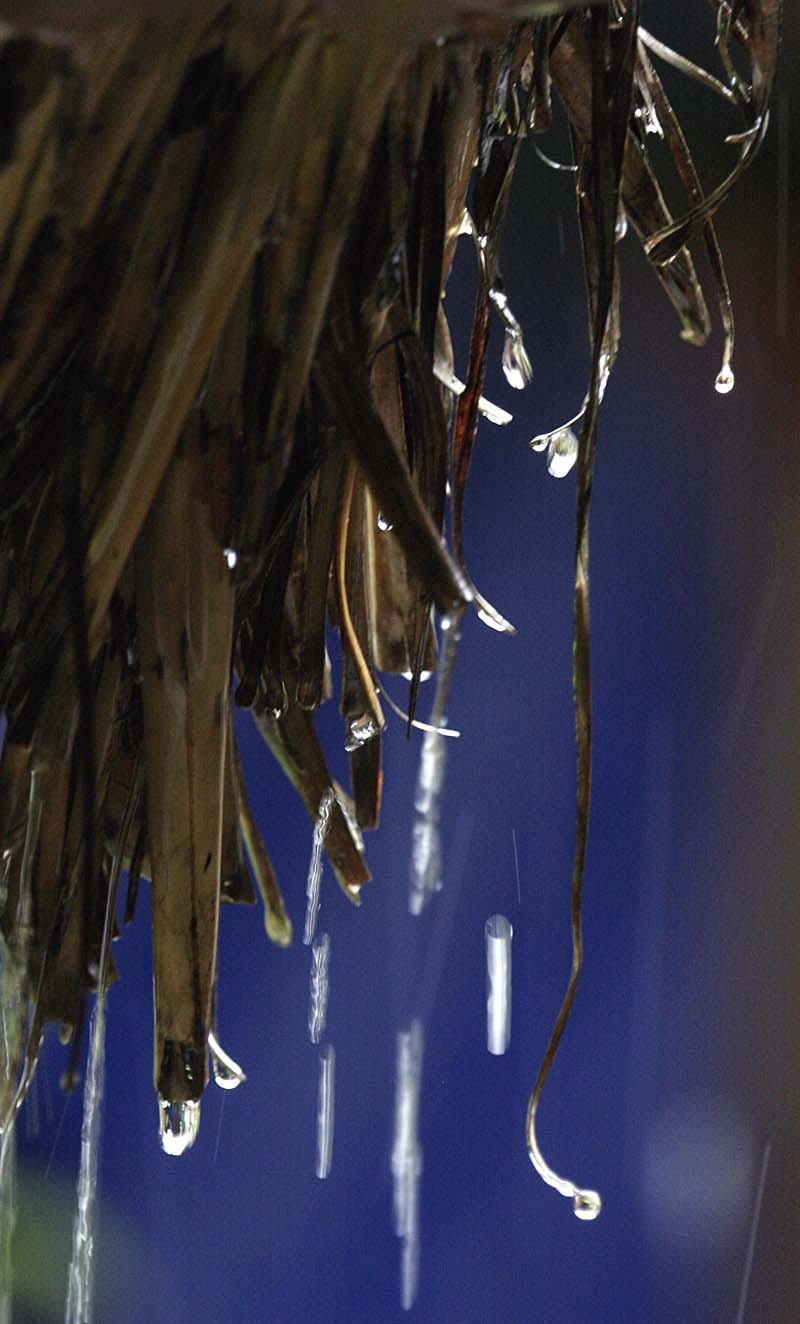 115S_20D__MG_8094.jpg