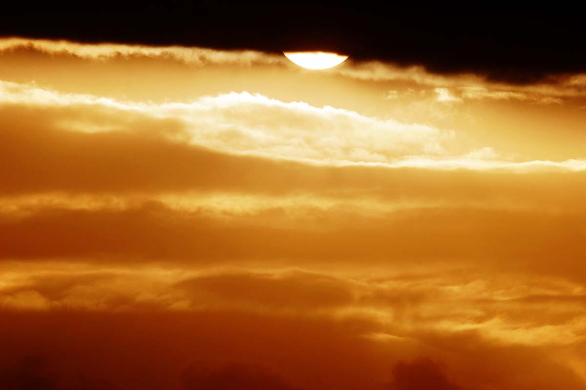 119S_20D__MG_8147.jpg