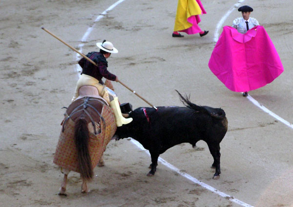 P1010629.jpg