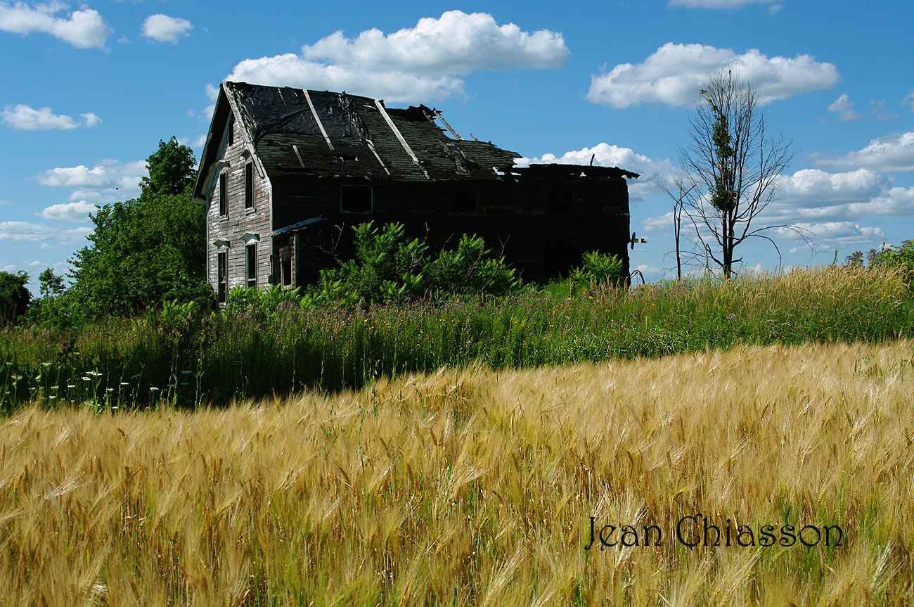 ( Cantons-de-lEst (Estrie) - Qubec