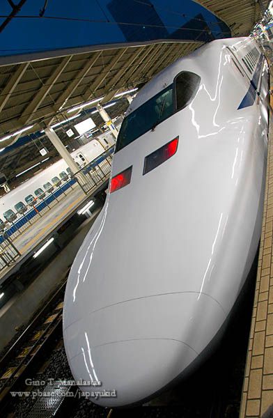 Shinkansen (Bullet Train)