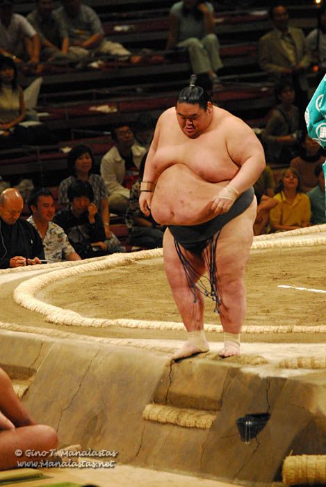 Sumo 2007