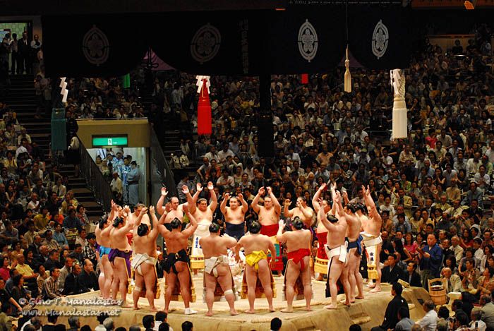 Sumo 2007