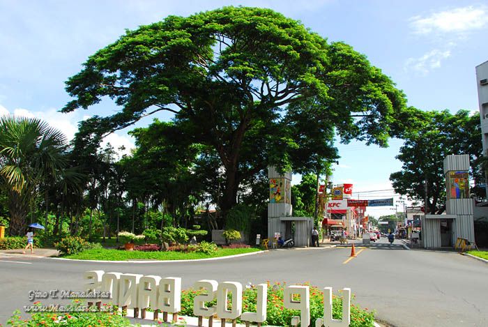UPLB