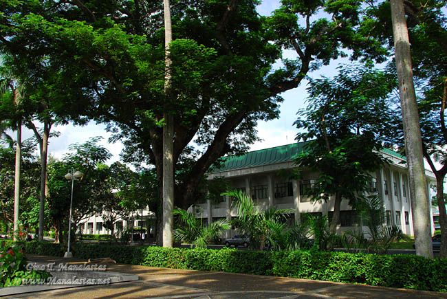 UPLB