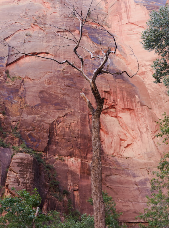 zion7-sk.JPG